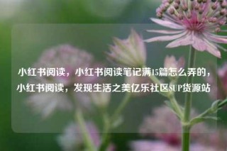 小红书阅读，小红书阅读笔记满15篇怎么弄的，小红书阅读，发现生活之美亿乐社区SUP货源站