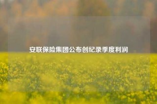 安联保险集团公布创纪录季度利润
