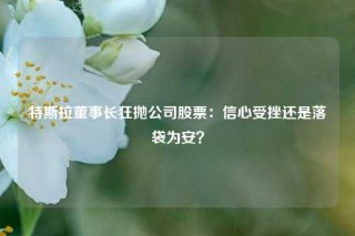 特斯拉董事长狂抛公司股票：信心受挫还是落袋为安？