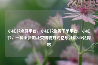 小红书点赞平台，小红书业务下单平台，小红书，一种全新的社交购物方式亿乐社区SUP货源站