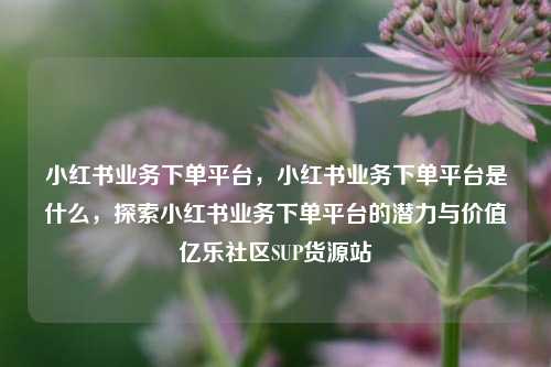 小红书业务下单平台，小红书业务下单平台是什么，探索小红书业务下单平台的潜力与价值亿乐社区SUP货源站  第1张