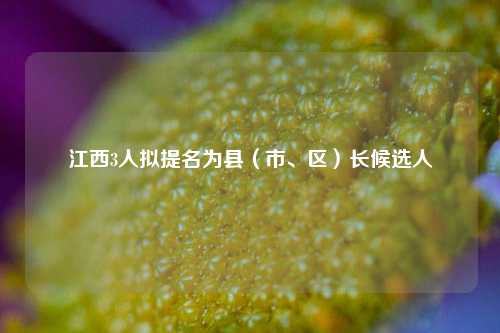 江西3人拟提名为县（市、区）长候选人  第1张
