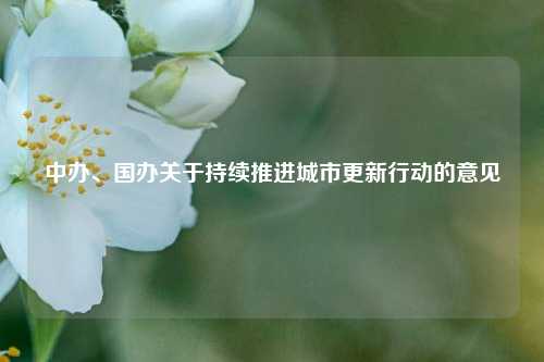 中办、国办关于持续推进城市更新行动的意见  第1张