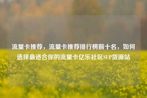 流量卡推荐，流量卡推荐排行榜前十名，如何选择最适合你的流量卡亿乐社区SUP货源站  第1张