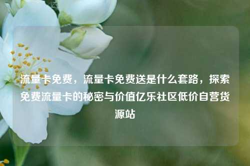 流量卡免费，流量卡免费送是什么套路，探索免费流量卡的秘密与价值亿乐社区低价自营货源站  第1张