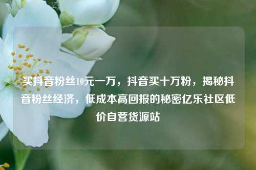 买抖音粉丝10元一万	，抖音买十万粉，揭秘抖音粉丝经济，低成本高回报的秘密亿乐社区低价自营货源站  第1张