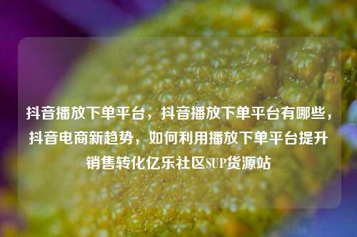 抖音播放下单平台，抖音播放下单平台有哪些，抖音电商新趋势，如何利用播放下单平台提升销售转化亿乐社区SUP货源站  第1张