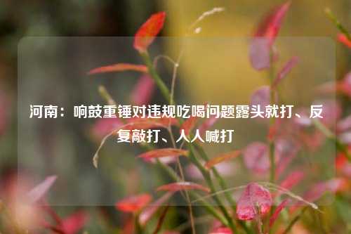 河南：响鼓重锤对违规吃喝问题露头就打、反复敲打、人人喊打  第1张
