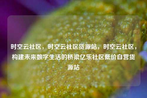 时空云社区，时空云社区货源站，时空云社区	，构建未来数字生活的桥梁亿乐社区低价自营货源站  第1张