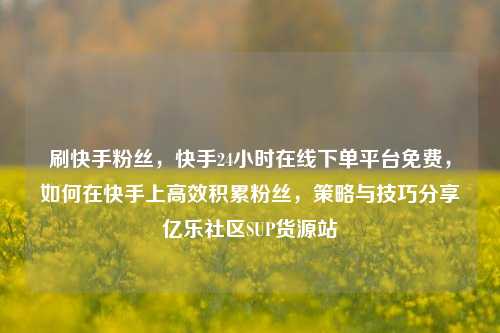 刷快手粉丝	，快手24小时在线下单平台免费，如何在快手上高效积累粉丝，策略与技巧分享亿乐社区SUP货源站  第1张