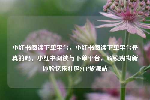 小红书阅读下单平台	，小红书阅读下单平台是真的吗，小红书阅读与下单平台，解锁购物新体验亿乐社区SUP货源站  第1张